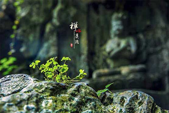 牧羊人網(wǎng)站建設(shè)匠人精神，幫助客戶在各行各行業(yè)建設(shè)網(wǎng)站